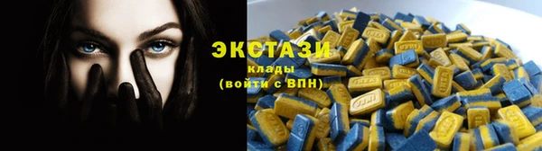 мет Алексин