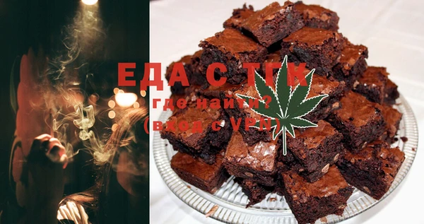 стаф Инта