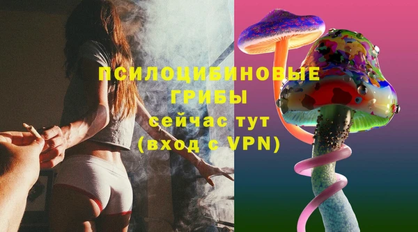 СК Абаза