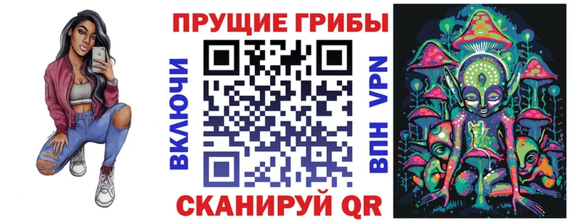 Галлюциногенные грибы MAGIC MUSHROOMS  наркошоп  Пудож 